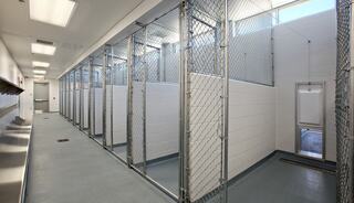 A hallway lined with empty kennels, featuring metal grates, white walls, and bright overhead lighting, conveying a spacious, clean environment.