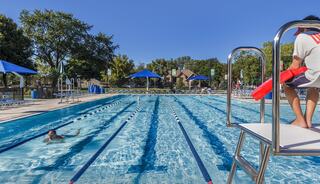 A sunny outdoor pool scene features a swimmer in lanes, with a lifeguard on duty overlooking from a tall chair and shaded areas nearby.