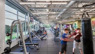 A spacious gym features various workout machines and weights, with people exercising and a punching bag in the foreground. Natural light streams in.