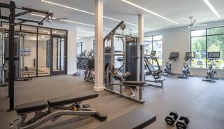 A modern gym featuring various exercise equipment, including weight machines and cardio machines, with large windows for natural light.