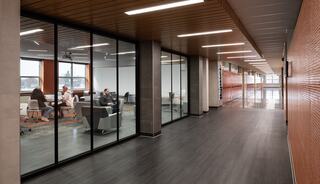 A modern hallway features large glass panels showcasing collaborative workspaces, sleek furniture, and a warm wooden ceiling.