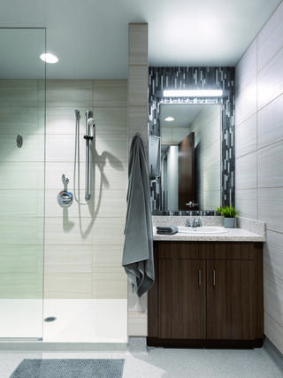 A modern bathroom features a glass shower, gray tones, a sleek vanity with a granite top, a decorative mirror, and a touch of greenery.