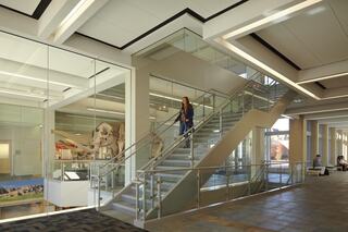 A modern building features a spacious staircase with glass railings, showcasing exhibits, including a dinosaur skeleton, in a well-lit space.