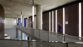 A modern corridor features sleek lines with contrasting wood and concrete, illuminated by vertical light strips, enhancing the contemporary design.