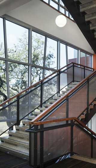 A modern staircase with wooden railings, surrounded by large windows that let in natural light and showcase greenery outside.