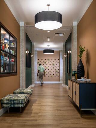A stylish hallway features warm brown walls, contemporary fixtures, and modern decor, leading to a unique wall with decorative accents.