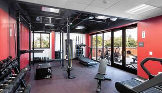 A fitness room features various workout equipment, including weights, a treadmill, and a large window overlooking a patio.