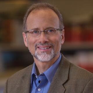 A smiling man with glasses and a neatly trimmed beard wears a blazer over a collared shirt, set against a blurred background.