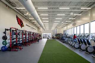 A bright workout space features weightlifting equipment on one side and cardio machines along large windows, with artificial grass in between.