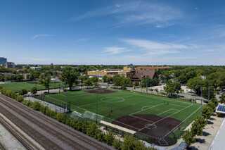 A sunlit urban park features multiple soccer fields, surrounded by trees and buildings, with a clear blue sky overhead.