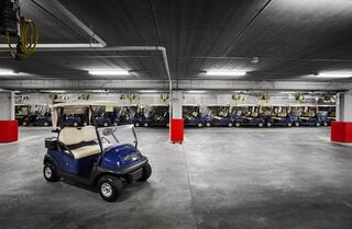 A spacious parking area features numerous golf carts neatly lined up, with one prominently positioned in the foreground.