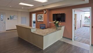 A modern reception area with a curved desk, a potted flower arrangement, a wall-mounted TV, and light-colored walls inviting natural light.